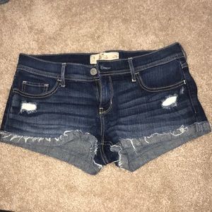 Hollister Shorts